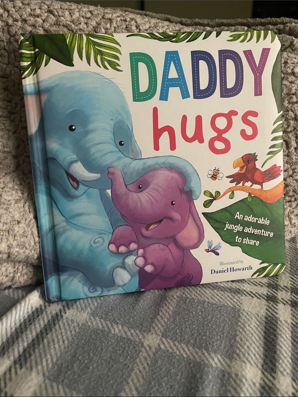 Daddy Hugs kids book